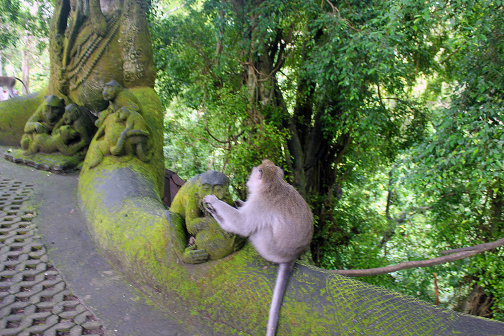 Лес обезьян в Убуде
